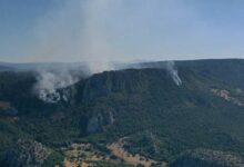 sinoptaki orman yangininda 2 gun calismalar sabahin birinci isiklarinda tekrar basladi mdzi7uhm