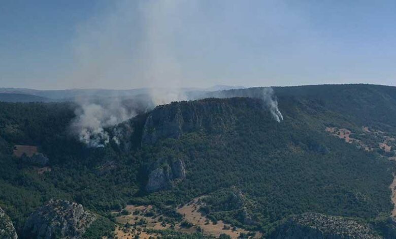 Sinop’taki orman yangınında 2. gün! Çalışmalar sabahın birinci ışıklarında tekrar başladı 1 sinoptaki orman yangininda 2 gun calismalar sabahin birinci isiklarinda tekrar basladi mdzi7uhm