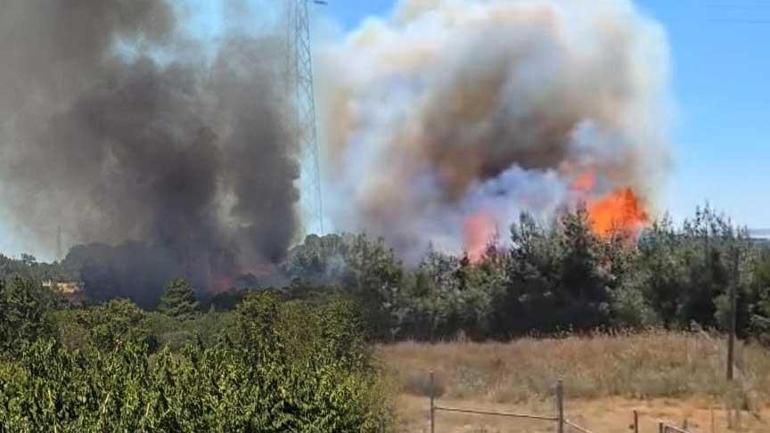 son dakika canakkalede orman yangini havadan ve karadan mudahale basladi 0 2NFK2ZEV