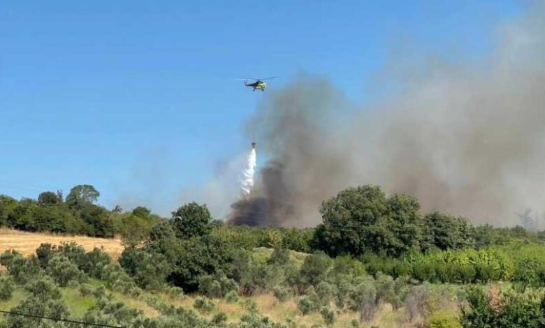 son dakika canakkalede orman yangini havadan ve karadan mudahale basladi yOmLQ8dr
