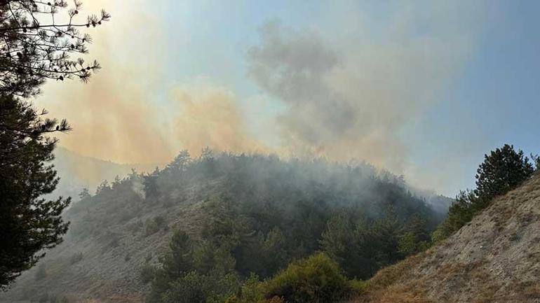 Son dakika... Karabük'te orman yangını! Müdahale başladı 3 son dakika karabukte orman yangini mudahale basladi 1 Lr1N9UKZ