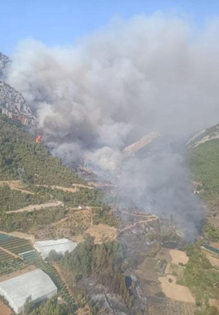 son dakika mersindeki orman yangini 2nci gununde vali toros son durumu acikladi 1 cqWlXOYt