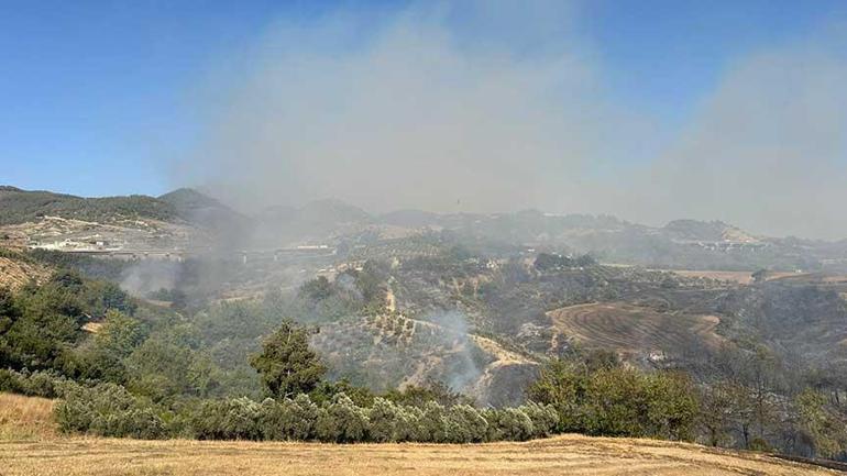 son dakika mersindeki orman yangini 2nci gununde vali toros son durumu acikladi 4 uQj5SGJF