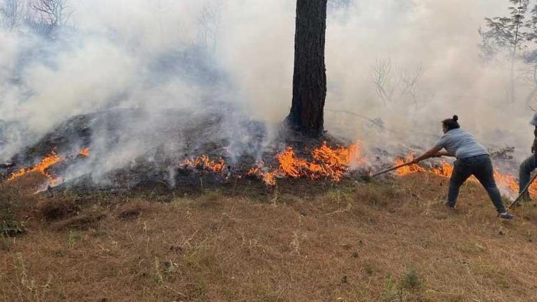 son dakika mersindeki orman yangini 2nci gununde vali toros son durumu acikladi 5 eQPSiMUl