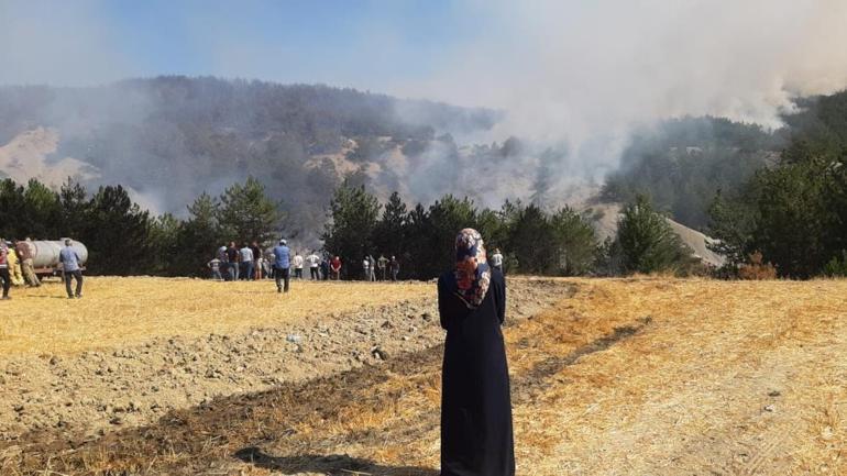 son dakika orman yangini haberleri pes pese geldi canakkaleden muthis manzaralar bakan yumakli KsOCaYkL