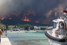 son dakika orman yangini haberleri pes pese geldi canakkaleden muthis manzaralar bakan yumakli XpU6mReP