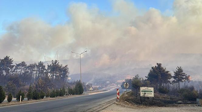 son dakika orman yangini haberleri pes pese geldi canakkaleden muthis manzaralar bakan yumakli bAHrdWLz