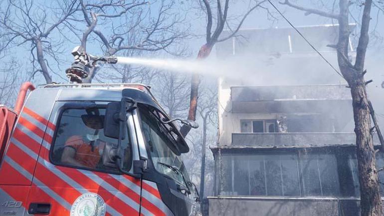 son dakika orman yangini haberleri pes pese geldi canakkaleden muthis manzaralar bakan yumakli nDyw58yJ