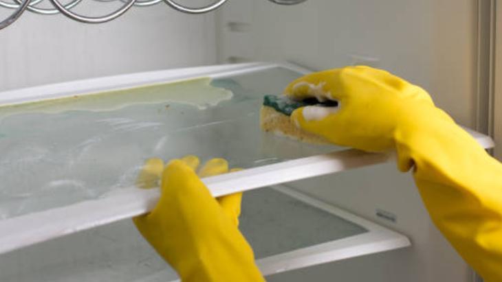 Temizledikçe fatura düşüyor! Buzdolabında bekletip kullanın: Besinlere zehir yayabilir 4 temizledikce fatura dusuyor buzdolabinda bekletip kullanin besinlere zehir yayabilir 2 LqsHw9e3