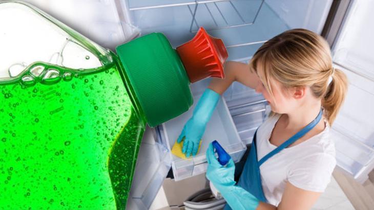 Temizledikçe fatura düşüyor! Buzdolabında bekletip kullanın: Besinlere zehir yayabilir 7 temizledikce fatura dusuyor buzdolabinda bekletip kullanin besinlere zehir yayabilir 5 Wtb4UMsp
