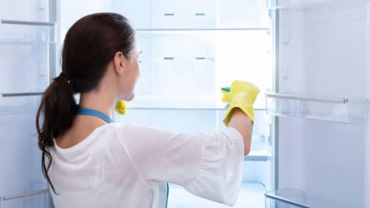 Temizledikçe fatura düşüyor! Buzdolabında bekletip kullanın: Besinlere zehir yayabilir 8 temizledikce fatura dusuyor buzdolabinda bekletip kullanin besinlere zehir yayabilir 6 RNT23y43