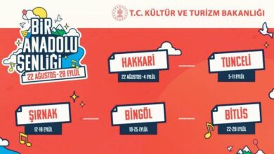 terorsuz turkiye surecine sanatsal takviye Me8eTILs