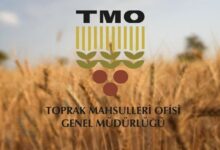 tmonun ithalat yoluyla tarim eserleri almasina ait yordam ve asillar belirlendi L5BGfbIL