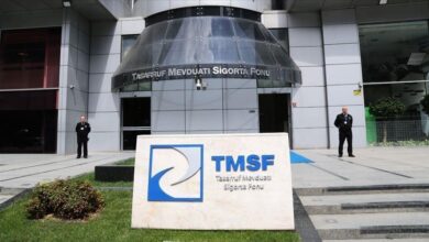 tmsf aydinli giysi kumesi sirketleri hisselerini birlikte satisa cikardi 9aZ3RKAq