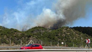 tokatta orman yangini mudahale devam ediyor sES624a2