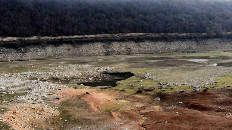 Trakya'yı bekleyen büyük felaket! Uzmanı uyardı: 2040'ta bekliyorduk 2020'li yılların ortalarında başladı 2 trakyayi bekleyen buyuk felaket uzmani uyardi 2040ta bekliyorduk 2020li yillarin ortalarinda basladi 0 KEw2f1rP