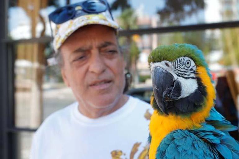 Turgut Özal'ın kaybolan papağanı 'Cabbar' 3 gün sonra bulundu 6 turgut ozalin kaybolan papagani cabbar 3 gun sonra bulundu 4 4HvK7CEK
