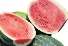 ureticinin ziyani markette ortaya cikti 5ptz9RmT