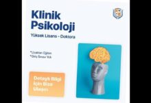 uydurma diplomayla ust seviye yonetici oldular FxXKQSJp