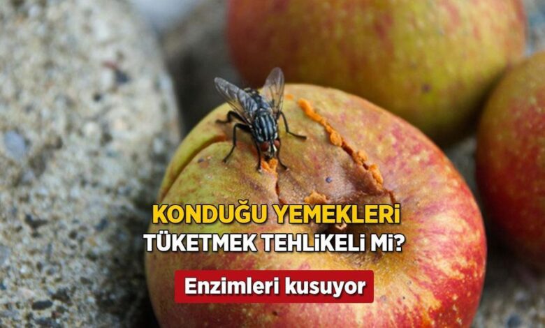 yemege konan sinek bu turlu mahvediyor nerede gezindigi kiymetli megerse zehirmis I6OYYZMG