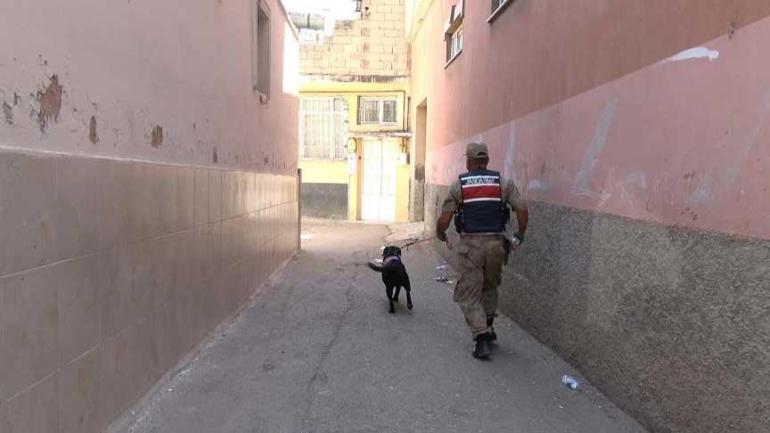 Yer: Kilis! 2 yaşındaki kız çocuğu kayboldu 2 yer kilis 2 yasindaki kiz cocugu kayboldu 0 sPH8TQmt