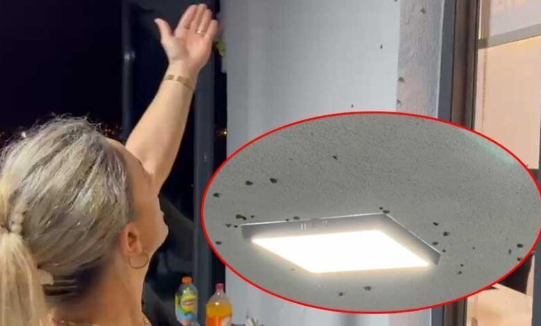 Yer: Rize! Gece olunca ‘vampir’ kabusu başlıyor: ‘Yemek yiyemez olduk’ 1 yer rize gece olunca vampir kabusu basliyor yemek yiyemez olduk VvnN4OWC