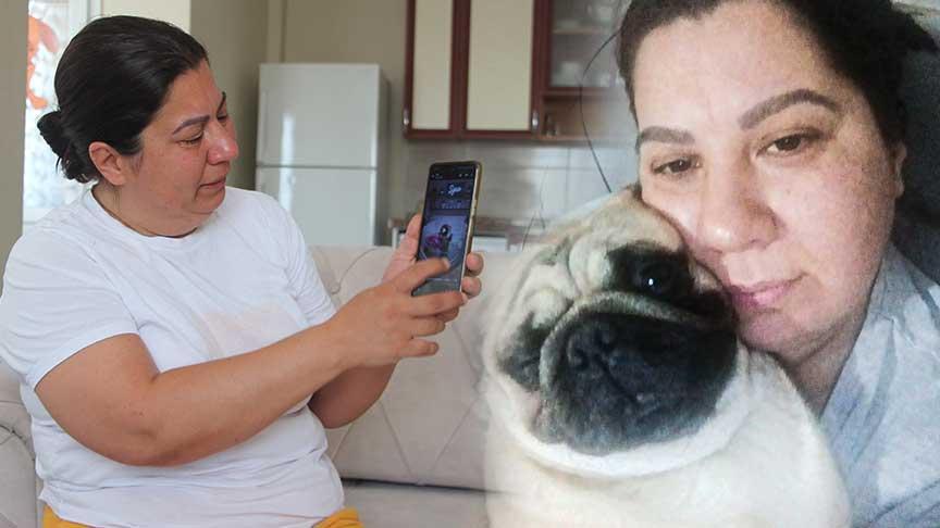 5 bin 800 liraya pet otel skandalı! ‘Ses çıkmasın diye pencereleri kapatmışlar’