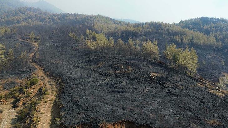 Alevlerle 63 saatlik savaş! Muğla Köyceğiz’de ormanlar küle döndü 1 alevlerle 63 saatlik savas mugla koycegizde ormanlar kule dondu
