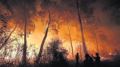 alevlerle caba sonbaharda da suruyor nqXI7eFl