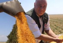 amik ovasi alarm veriyor son 65 yilin en mak s yili 2 ay daha erken 8s3JeWCD