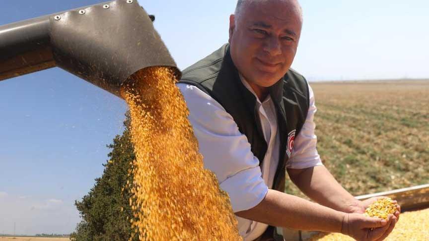 Amik Ovası alarm veriyor! Son 65 yılın en makûs yılı: 2 ay daha erken kurudu