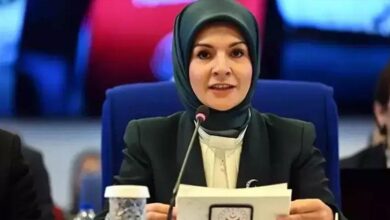 bakan goktas mardin aile yili projeleri tanitim programinda aciklamalarda bulundu RGVK2uUJ