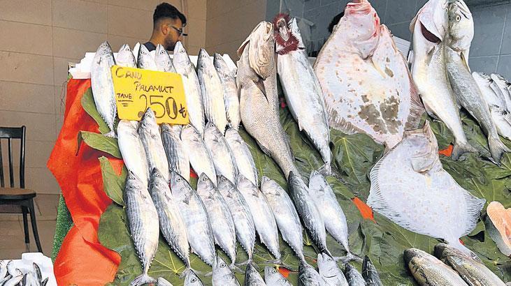 Balık dönemi sakin başladı 1 balik donemi sakin basladi ILAEVGVZ