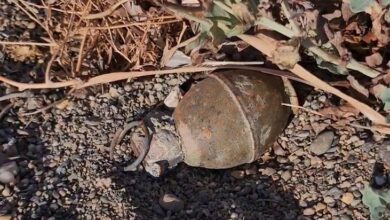 bursa kiyisinda panik iznik golu kiyisinda el bombasi bulundu YJImGfrY