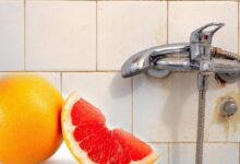 cope atmak yerine banyo pakliginda kullanin kabugu sirkeye batirip kire uygulayin 2Kj99Ild