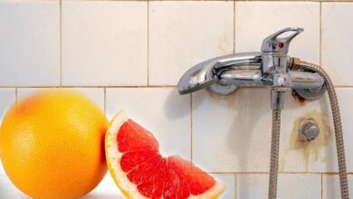 cope atmak yerine banyo pakliginda kullanin kabugu sirkeye batirip kire uygulayin 2Kj99Ild
