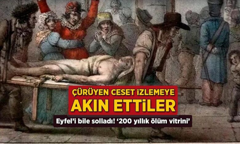 curuyen cesetleri izlemeye akin ettiler eyfeli bile solladi 200 yillik mevt vitrini xgw6UMcw