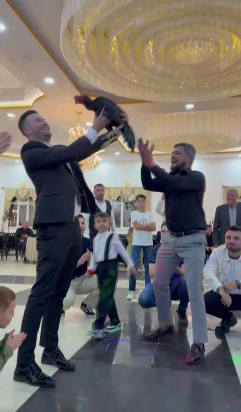 Damada görülmemiş hediye! Davetlileri şaşkına çevirdi: Pahası 250 bin TL 2 damada gorulmemis hediye davetlileri saskina cevirdi pahasi 250 bin tl 0