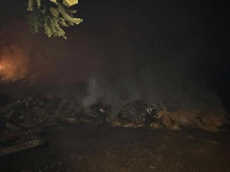 Denizli'nin Buldan ilçesindeki orman yangınına müdahale sürüyor 4 denizlinin buldan ilcesindeki orman yanginina mudahale suruyor 2 V61nDrtV