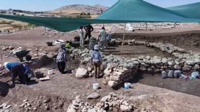 diyarbakirda gizemli bulus iste 9 bin 500 yil evvel insanlarin bir ortaya geldikleri dikkat wu8qROdp