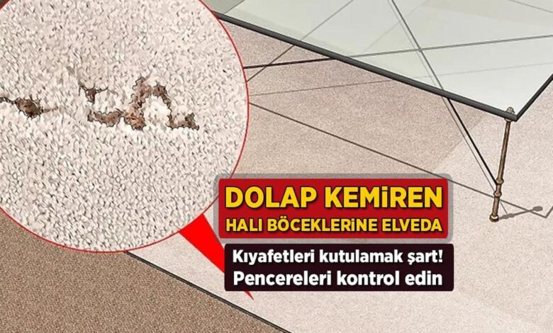 Dolap kemiren halı böceklerine elveda! Kıyafetleri kutulamak kaide, pencereleri denetim edin 1 dolap kemiren hali boceklerine elveda kiyafetleri kutulamak kaide pencereleri denetim edin 6sOOWesR