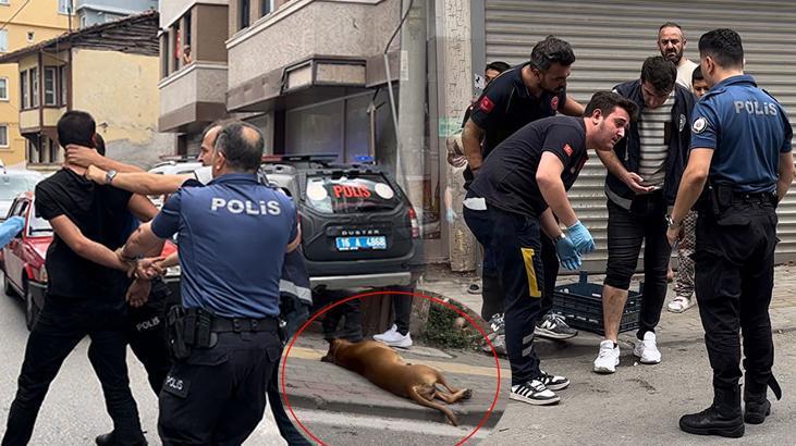 İhbara giden polislerden birini pitbull, oburunu ise sahibi ısırdı! 1 ihbara giden polislerden birini pitbull oburunu ise sahibi isirdi dUXstqOL