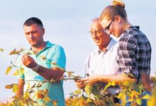 iklim degisikligiyle cabaya genc katki q8TvEcYc