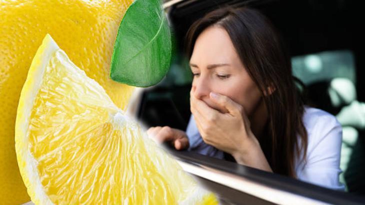 İspanyolların bâtın silahıymış! Damlatıp otomobile koymak kâfi: Beyni denetim ediyor 2 ispanyollarin b tin silahiymis damlatip otomobile koymak k fi beyni denetim ediyor 0 g5sSRPDL