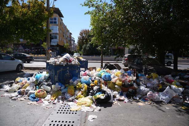 İzmir Buca'da toplanmayan çöpler reaksiyona neden oluyor İzmir'de çöp krizi: Parklarda oturamıyoruz, sinekten durulmuyor 18 izmir bucada toplanmayan copler reaksiyona neden oluyor izmirde cop krizi parklarda oturamiyoruz sinekten durulmuyor ShTqZyQj