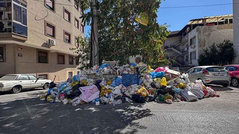 izmirde sokaklar doldu halk isyanda fareler de ortaya cikti uyuyamiyoruz 0 X4rkqEjg