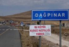 karsta kuduz alarmi bir belde karantinaya alindi BrCifnwy