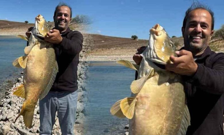 Kendi bile şoke oldu! Devasa balık oltaya takıldı 1 kendi bile soke oldu devasa balik oltaya takildi fYwOEIM7