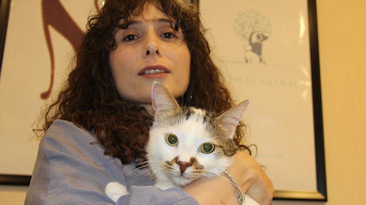 Kent değiştirince depresyona girdi! Kediye antidepresanlı tedavi 1 kent degistirince depresyona girdi kediye antidepresanli tedavi yblKvFzM