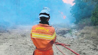 orman gonullulerine tazminat ve sehitlik hakki eHNjf6Mx